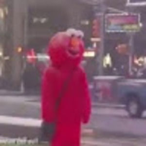 Meet your Posher, Max